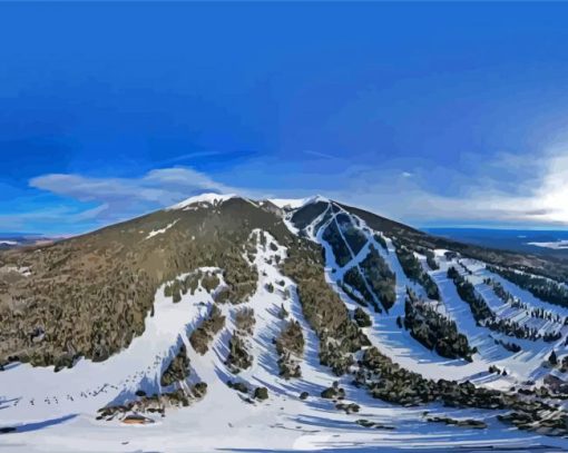 Arizona Snowbowl Flagstaff Paint By Numbers