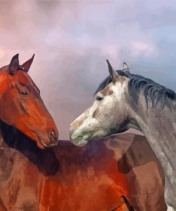 Beautiful Horse Couple Paint By Numbers