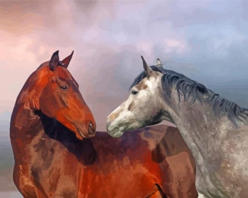 Beautiful Horse Couple Paint By Numbers