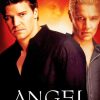 Buffy The Vampires Slayer Angel Poster Paint By Numbers