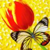 Butterfly With Tulip Paint By Numbers