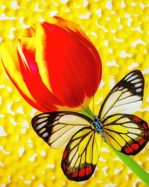 Butterfly With Tulip Paint By Numbers