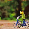 Cute Frog On Bicycle Paint By Numbers