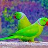 Green Indian Ringneck Parrots Paint By Numbers