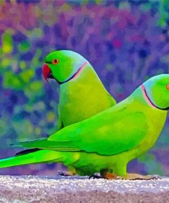 Green Indian Ringneck Parrots Paint By Numbers