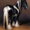 Gypsy Vanner Horse Paint By Numbers