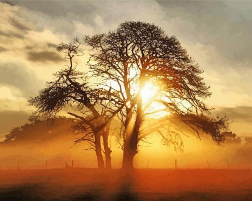 Misty Sunrise Behind The Tree Paint By Numbers
