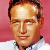 Paul Newman Paint By Numbers