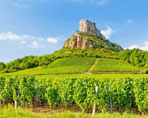 Vineyard In Burgundy Paint By Numbers