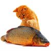 Aesthetic Cat With Fish Art Paint By Numbers