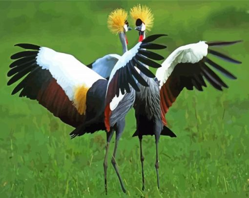 Grey Crowned Crane Birds Paint By Numbers