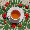 Tea Cup With Rowanberry Paint By Numbers