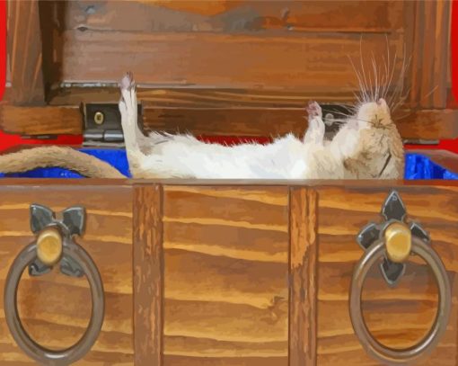 White Hairy Rat Lying On Brown Wooden Box Paint By Numbers
