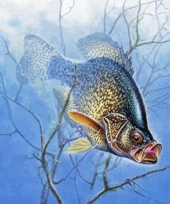 aesthetic Crappie Paint By Numbers