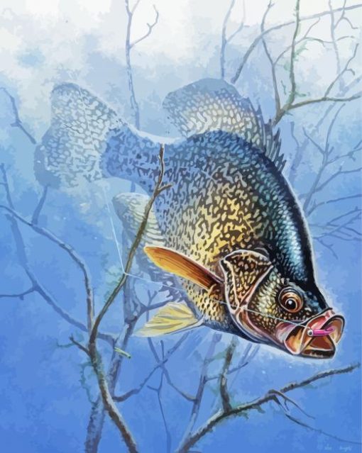 aesthetic Crappie Paint By Numbers