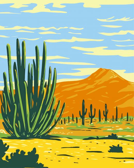 Arizona Poster Art Illustration Paint By Numbers