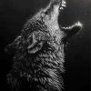 Black And White Wolf Howling Paint By Numbers