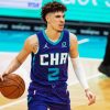Charlotte Hornets Player Paint By Numbers