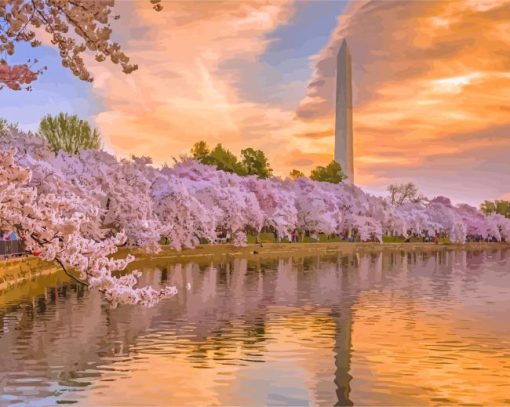 Cherry Blossoms Washington DC Sunset Paint By Numbers