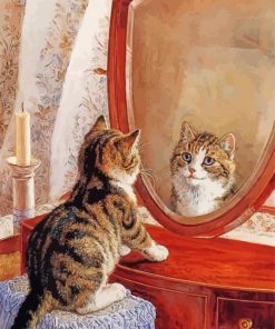 Cute Cat Looking At Mirror Paint By Numbers