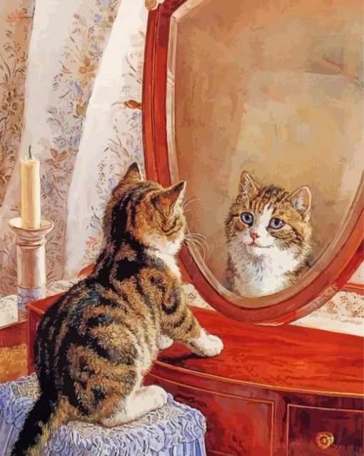 Cute Cat Looking At Mirror Paint By Numbers