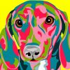 Dachshund Dog Colorful Paint By Numbers