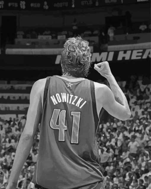 Dirk Nowitzki Black And White Paint Bay Numbers