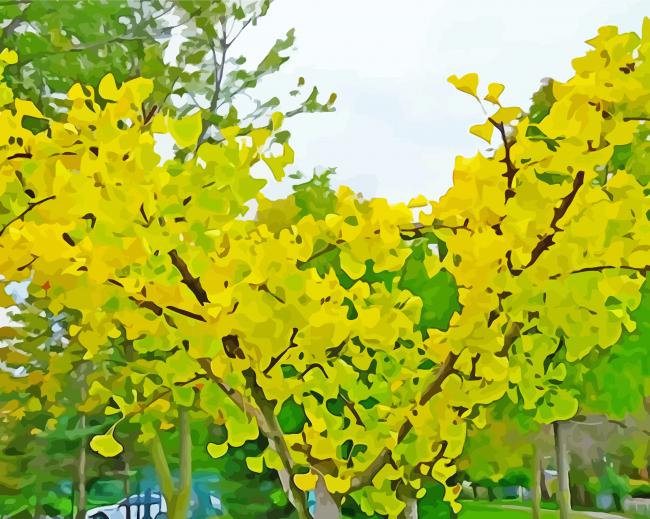 Ginkgo Tree Paint Bay Numbers