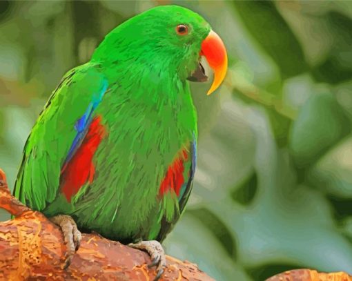 Green Eclectus Parrot Paint By Numbers