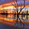 Menindee River Lady Tours Paint By Numbers