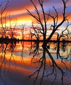 Menindee River Lady Tours Paint By Numbers