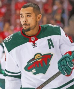 Minnesota Wild Ice Hockey Player Paint By Numbers