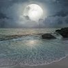 Moon And Ocean Paint By Numbers