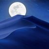 Moon Desert Night Paint By Numbers