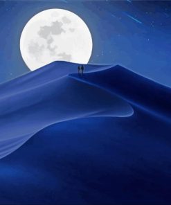 Moon Desert Night Paint By Numbers