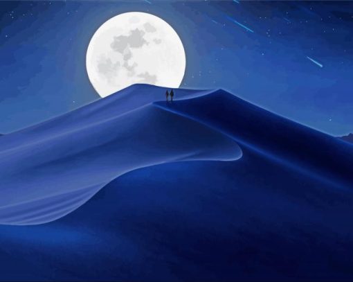 Moon Desert Night Paint By Numbers