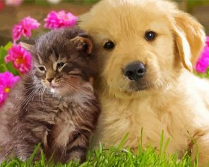 Puppy And Kitten Paint By Numbers