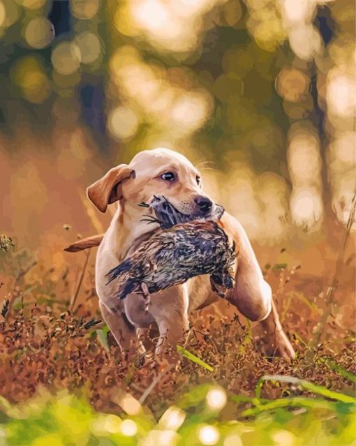 Puppy Labrador Hunting Bird Paint By Numbers