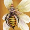 Queen Bee Insect Paint By Numbers