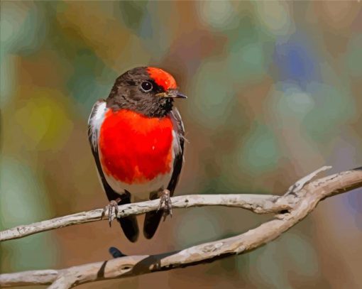 Red Crapped Robin On Branch Paint By Numbers