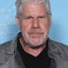Ron Perlman Paint By Numbers