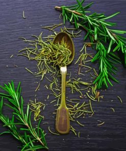 Rosemary Herb Paint By Numbers
