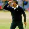 Seve Ballesteros Paint By Numbers
