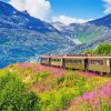 Skagway Train Paint By Numbers