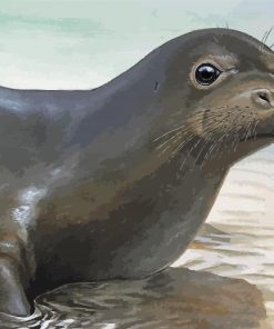 The Monk Seal Paint By Numbers