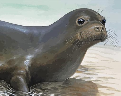 The Monk Seal Paint By Numbers