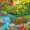 The Red Eared Slider Turtle Under Water Paint By Numbers