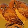 Two Owls In Love Paint By Numbers