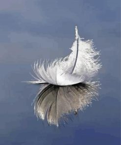 White Feather Reflection Paint By Numbers