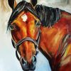 Aesthetic Brown Horse Head Art Paint By Numbers